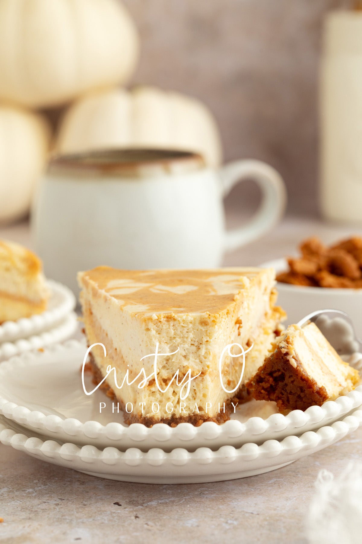 Pumpkin Cheesecake- Exclusive