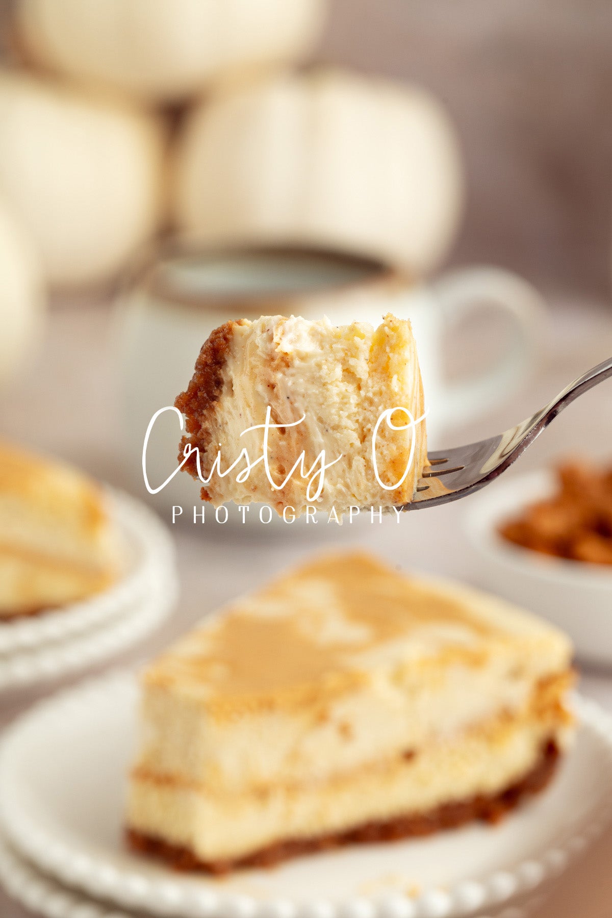 Pumpkin Cheesecake- Exclusive