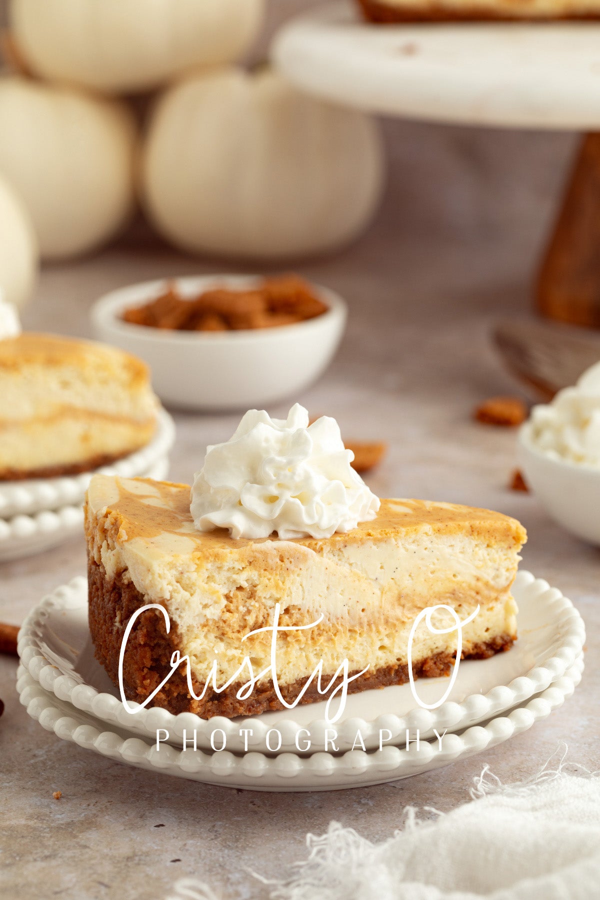 Pumpkin Cheesecake- Exclusive