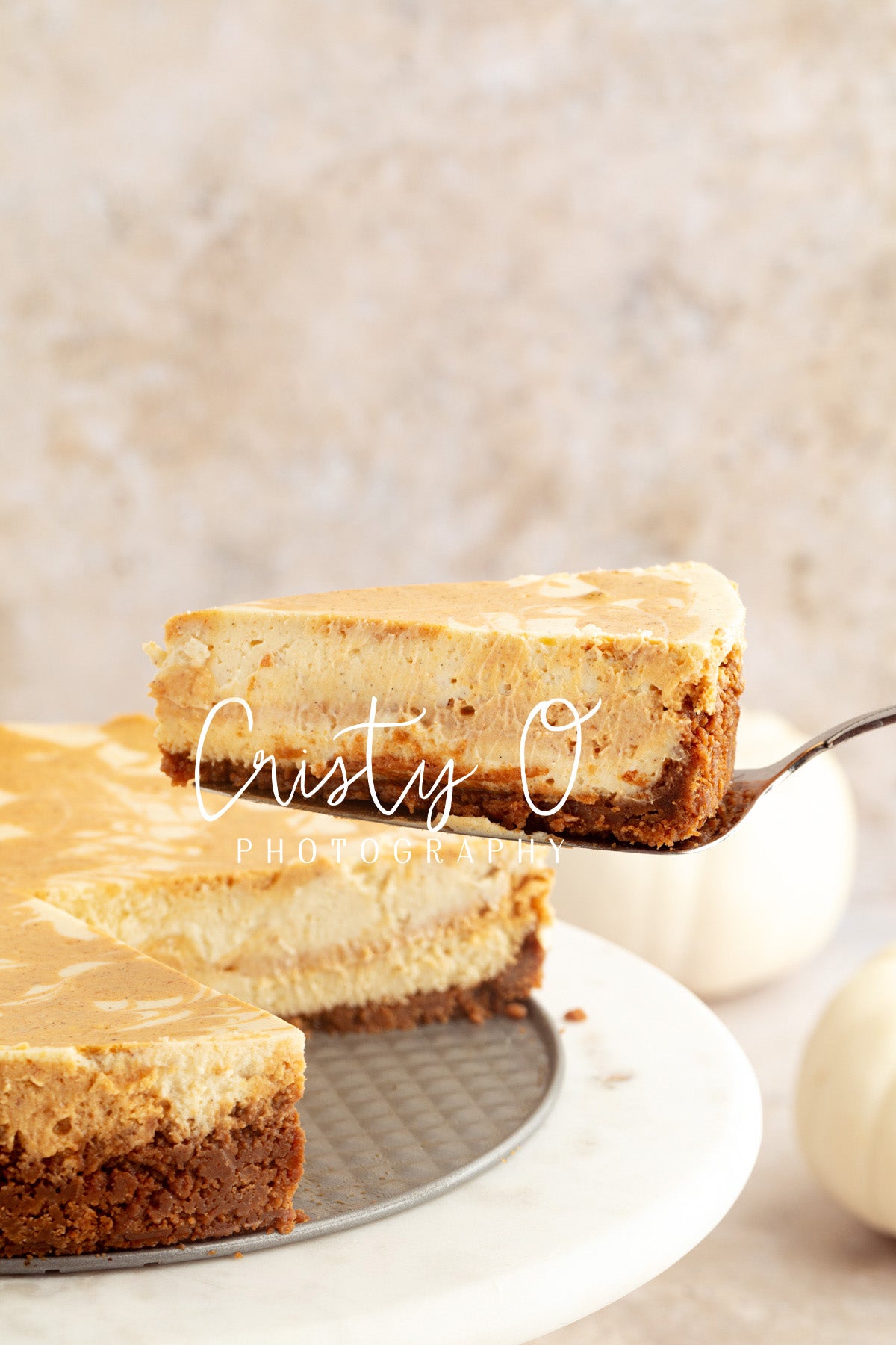 Pumpkin Cheesecake- Exclusive